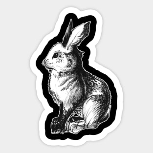 Ink rabbit sketch 08/04/23- wildlife inspired art Sticker